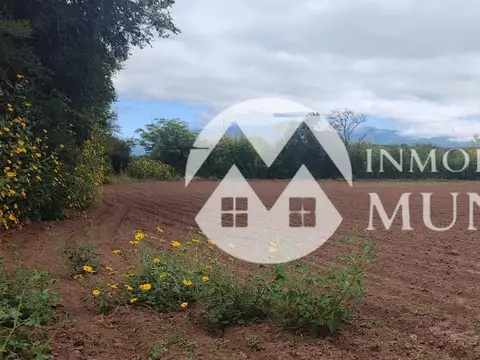 OPORTUNIDAD EN CORONEL MOLDES