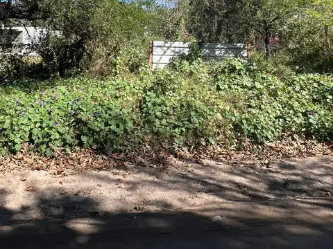 Terreno en Venta 31  mts Fondo