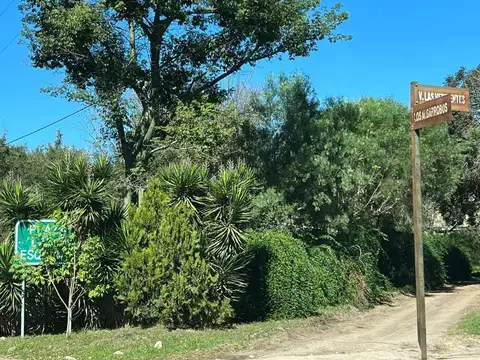 Terreno en Venta 20  mts Frente