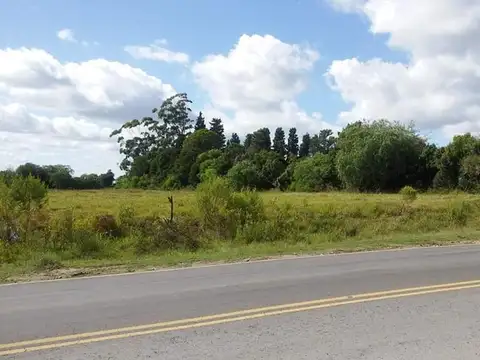 En Venta!! Campo Ideal Para Loteo!