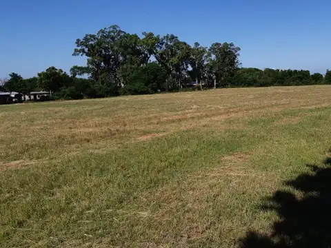 EN VENTA  CAMPO IDEAL PARA LOTEO!
