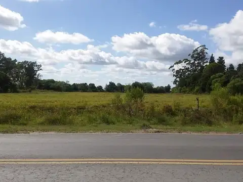 EN VENTA  CAMPO IDEAL PARA LOTEO!