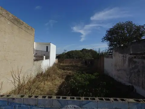 Julian Castaño 2100