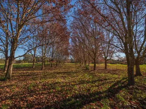 Terreno en Venta en Loma Escondida, USD 65.000