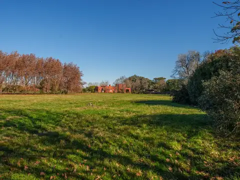Terreno en Venta de 10003,0 m2