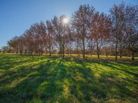 Terreno en Venta de 10003,0 m2