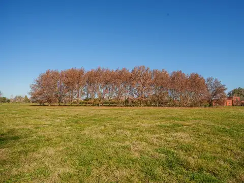 Terreno en Venta de 10003,0 m2