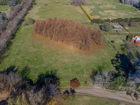 Terreno en Venta de 10003,0 m2