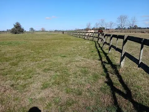 Haras El Malacate