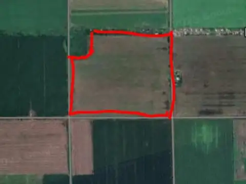 Campo en Esperanza