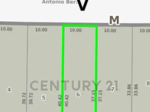 Antonio Berni 300