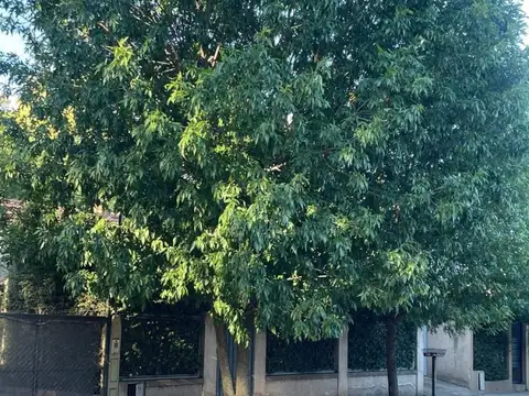 Casa en Venta en Juana Koslay, USD 63.000