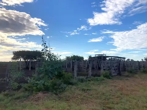 Campo - Taboada