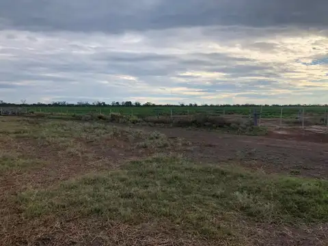 Tacanitas