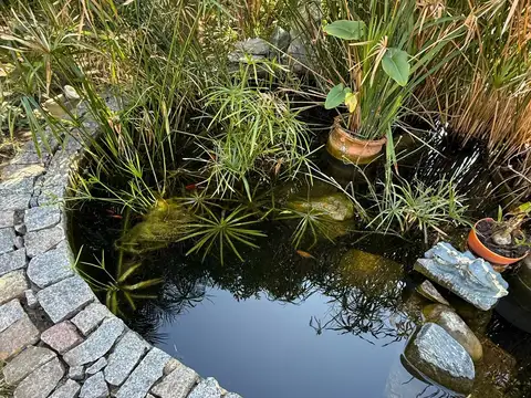 Casa en Venta al Norte