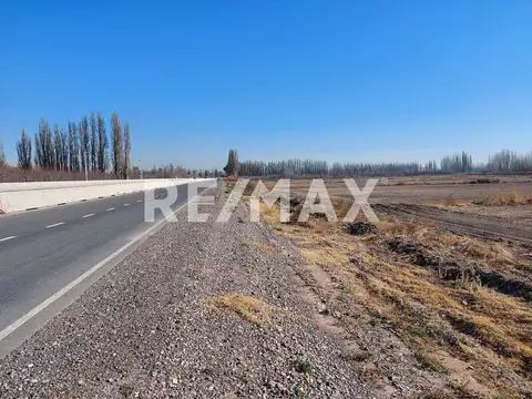 Chacra en Venta sobre Ruta 22 - Allen, Rio Negro