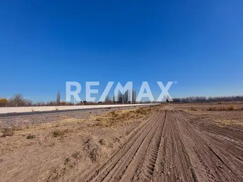 Chacra en Venta sobre Ruta 22 - Allen, Rio Negro