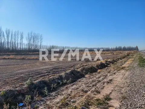 Chacra en Venta sobre Ruta 22 - Allen, Rio Negro