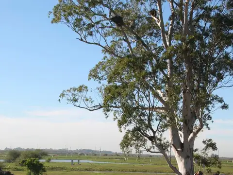 Terreno en venta Barrio Sebastián Gaboto Pueblos del Plata Hudson