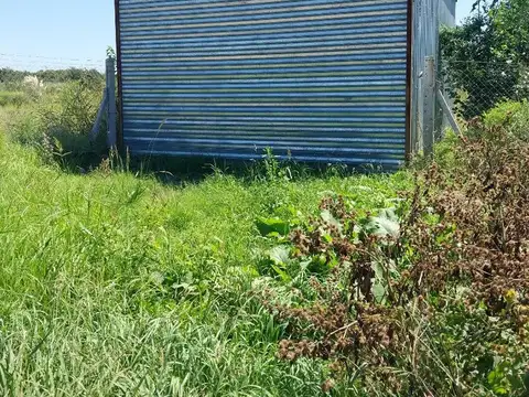 CHACRA EN CARLOS KEEN