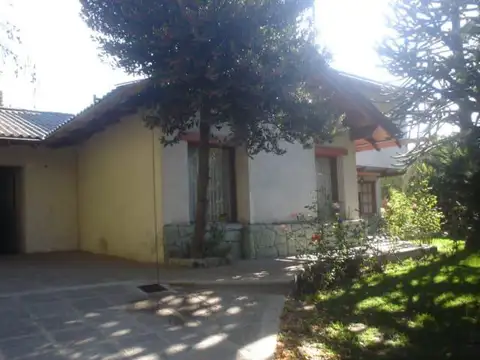 Quintral al 1200