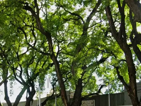 Century 21 vende amplio Salón comercial en zona Alameda, Ciudad de Mendoza