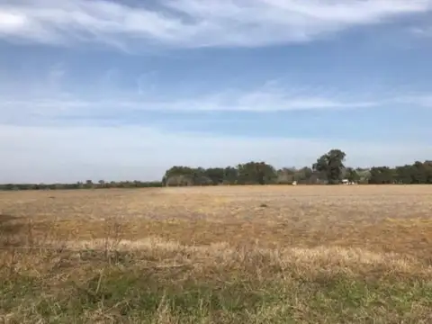 175 HA EN CARDALES