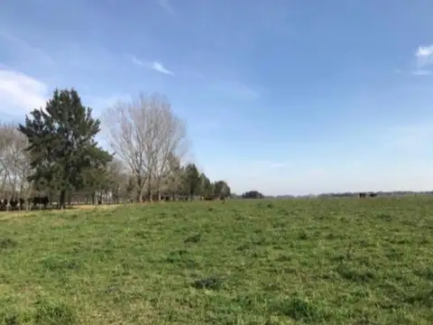 175 Ha En Cardales