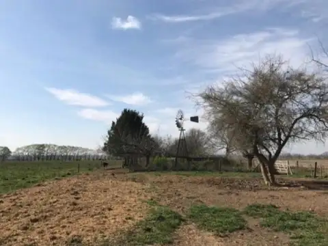 175 Ha En Cardales