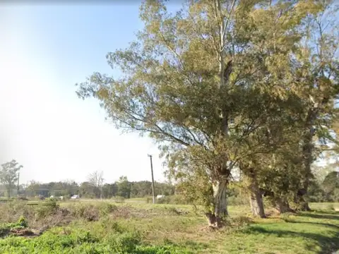 Terreno en Venta, FOT 80