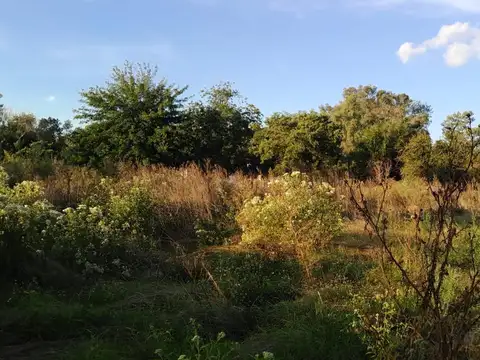 Mendoza 2700