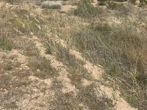 TERRENO, EXCELENTE OPORTUNIDAD! , LUJAN DE CUYO