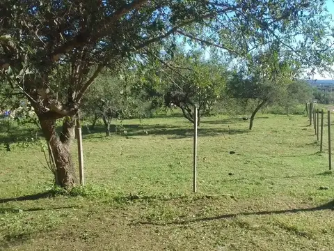 Ava. Lote en Santa Monica