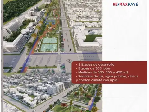 Damasio Esquivel 100