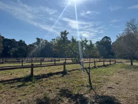 Terreno en Venta en General Rodriguez, USD 480.000