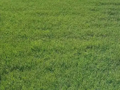 Puertos, Amarras, Escobar - PANAMERICANA KM 45