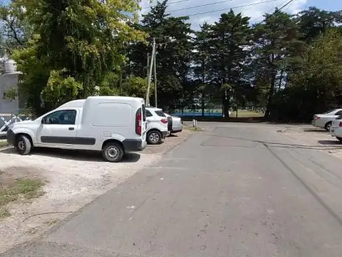 Las Camelias al 3300