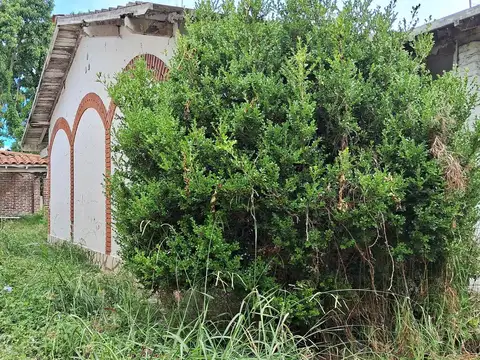 Terreno en Venta 33  mts Fondo