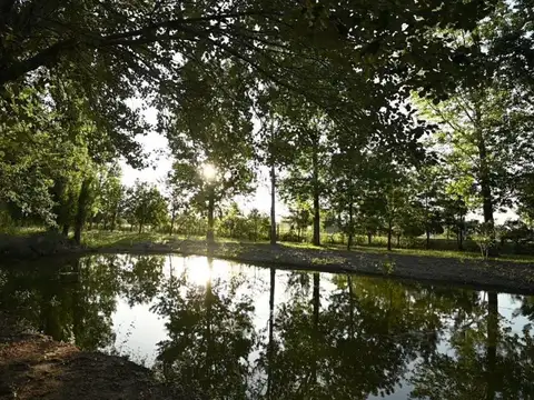 Terreno en Venta 29  mts Fondo