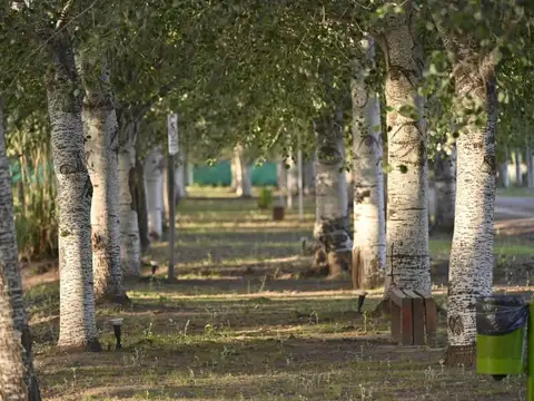 Terreno en Venta 13  mts Frente