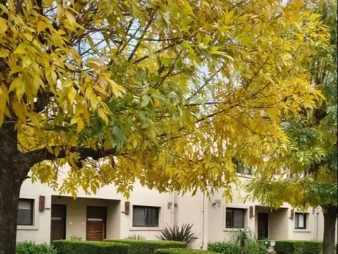 Casas del Alto, Manzanares, Pilar 100