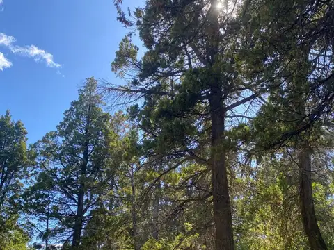 Terreno en Venta en Trevelin, USD 42.000