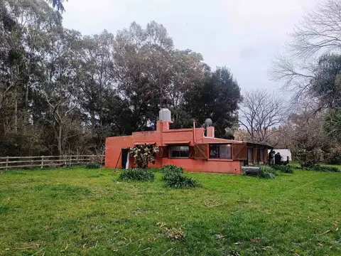 CAMPO MIXTO EN VENTA ALVAREZ JONTE - NUEZ PECÁN