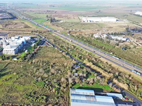 Raúl Alfonsin  al 300