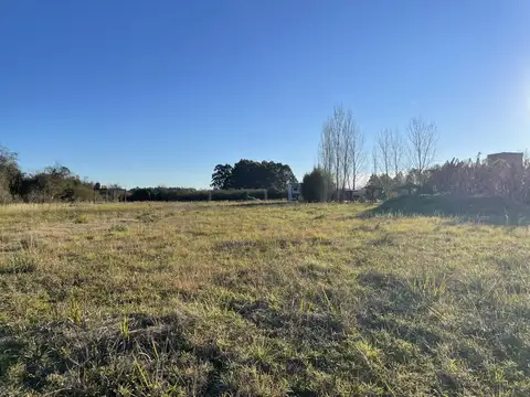 Terreno zona camino viejo