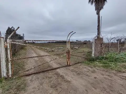 Ruta Provincial 6 195