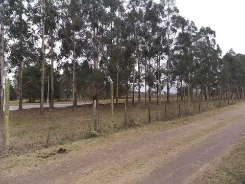 Ruta Provincial 6 195