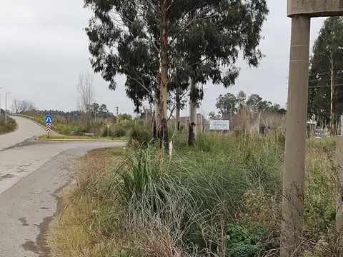 Ruta Provincial 6 195