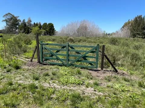 Terreno en Venta de 10000,0 m2