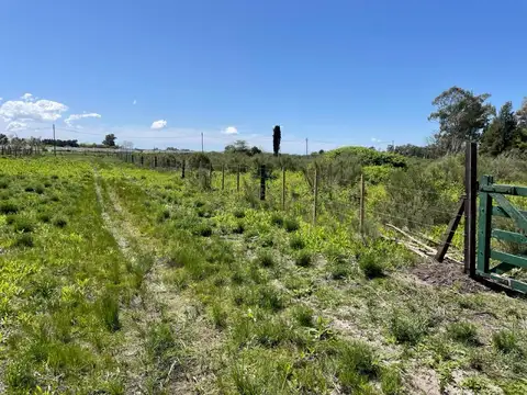 Terreno - Coronel Brandsen